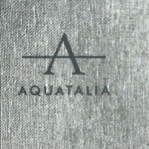 2 New Aquatalia🥳 Light Gray Dust Bag